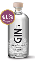 bottle-gin-botanico
